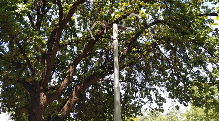 Foto: ALF PONCE / MDZ