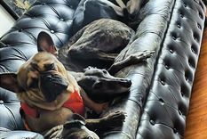 Buscan impulsar la ley Duque. Foto: Archivo