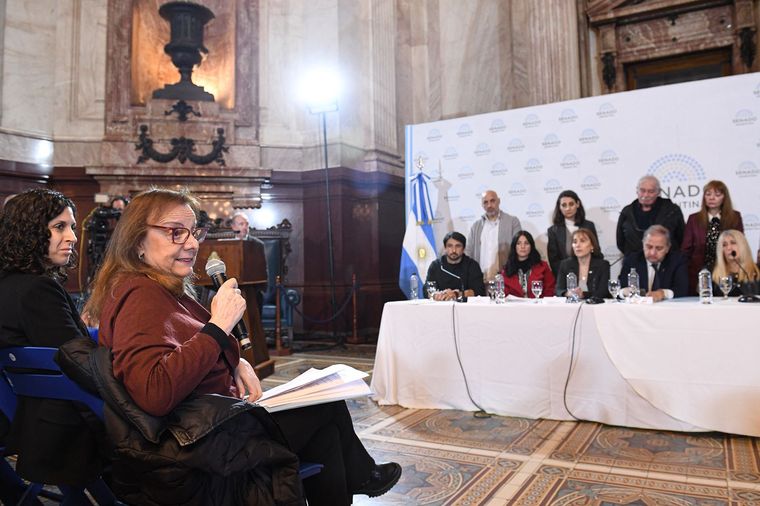 Alicia Kirchner durante la reunión por el proyecto Emergencia en Discapacidad, encabezada por Carlos Linares. Alicia Kirchner durante la reunión por el proyecto Emergencia en Discapacidad, encabezada por Carlos Linares.