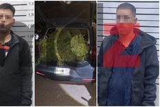 Los dos detenidos y el inmenso ejemplar de cannabis incautado por los efectivos de la UEP Las Heras. Foto: MDZ.