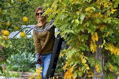 Foto: Foto: Instagram @juliana.awada