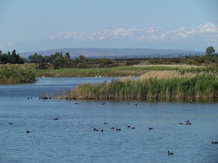 La Laguna de la Paloma podría verse afectada de manera negativa por la instalación de la obra cloacal.