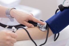 Existe una planta medicinal que ayuda a controlar la presión arterial Foto: Shutterstock