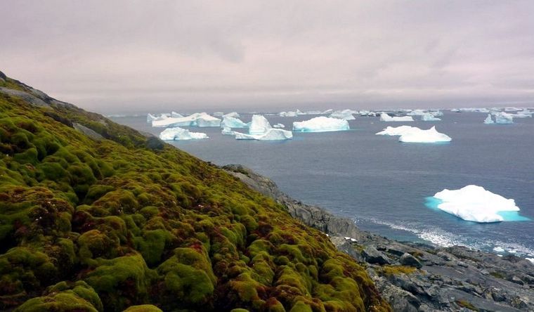 El calentamiento en la Antártida es más que evidente. Foto: Dpa.