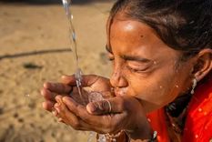 La cantidad de agua que necesitas depende de varios factores como la edad, el sexo, el clima y la actividad física que realices. Foto: GETTY IMAGES