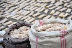 Según informan los especialista, la droga Captagón, ya ingresó al país y está siendo comercializada en la zona de la Triple Frontera. Foto: Archivo