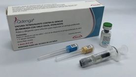 La Fundación Huésped puso en marcha un estudio clave para evaluar la seguridad y la respuesta inmune de la vacuna contra el dengue en personas de entre 60 y 79 años.