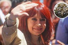 Una Virreina de la Vendimia insultó a Cristina Fernández de Kirchner y tuvo que renunciar a su corona y cetro. Foto: EFE y MDZ Una Virreina de la Vendimia insultó a Cristina Fernández de Kirchner y tuvo que renunciar a su corona y cetro. Foto: EFE y MDZ