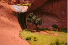 Este oasis es uno de los mayores atractivos de Jujuy Foto: Foto: IG @soyjanet_