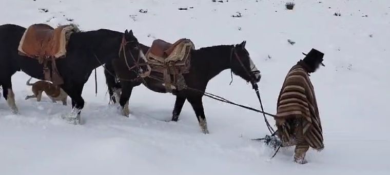 Foto: Gendarmería Nacional