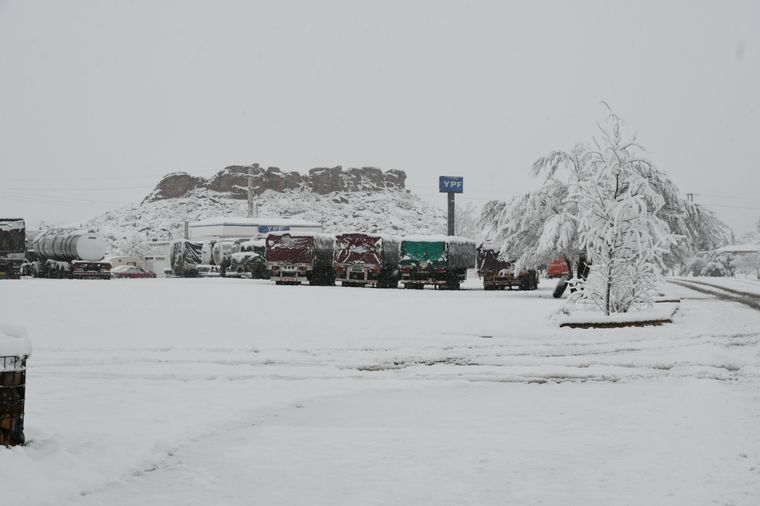 Foto: ALF PONCE MERCADO / MDZ