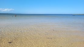 El pueblo de Mostardas conserva playas extensas y un perfil turístico muy bajo. El pueblo de Mostardas conserva playas extensas y un perfil turístico muy bajo.