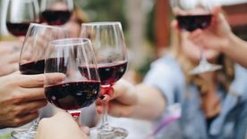 El Día del Amigo es una gran oportunidad para brindar con exquisitos vinos. Foto: pixabay