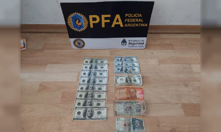 Los dólares secuestrados. Foto: NA