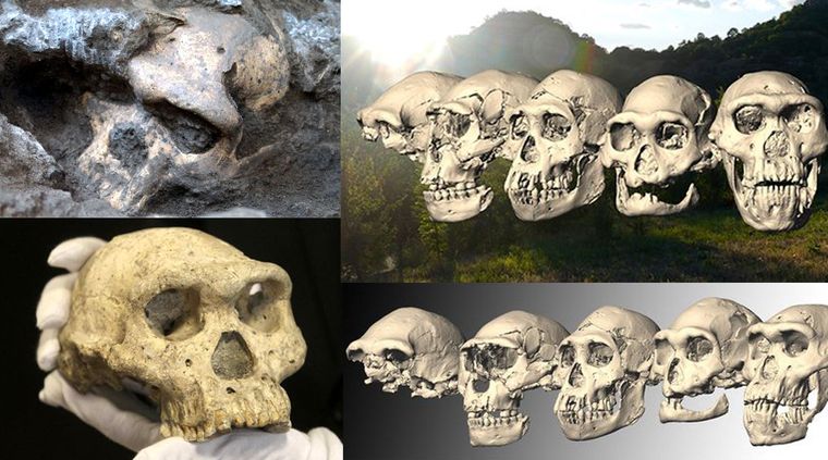 Foto: dailymail..co.uk