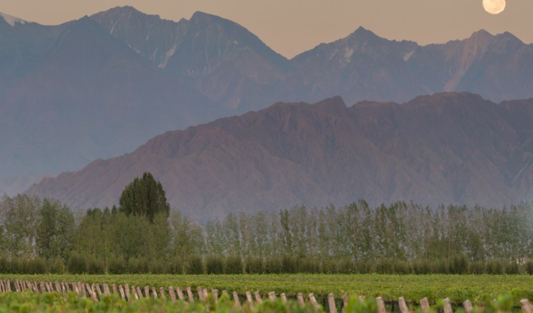La bodega se encuentra ubicada en Agrelo, Lujan de Cuyo. Foto: @las_perdices