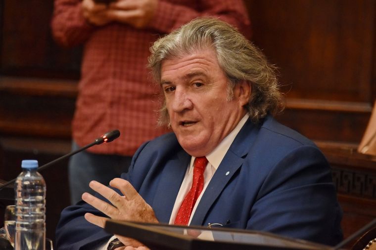 José Luis Ramón defendió la Zona Fría y aseguró que es un derecho de los argentinos Foto: X José Luis Ramón