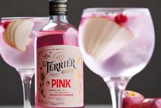 Trago viral en redes sociales: Gin Paff, la bebida que combina sabores exuberantes y gin tonic Foto: Foto: Freepik
