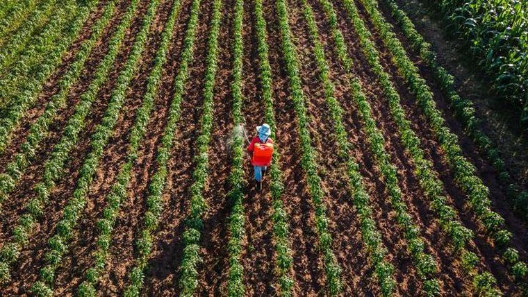 Tensión comercial entre China y EE.UU. vuelve a impactar en la soja.