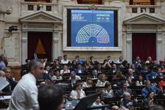 La sesión de este miércoles en la Cámara de Diputados del Congreso. Foto: X @DiputadosAR La sesión de este miércoles en la Cámara de Diputados del Congreso. Foto: X @DiputadosAR