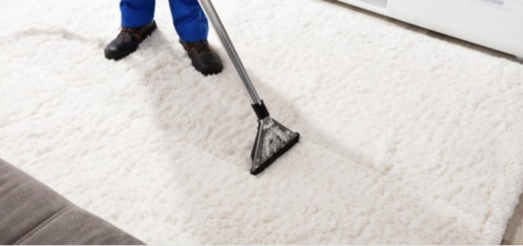 Los mejores tips de desinfección para eliminar las bacterias del hogar Foto: Shutterstock