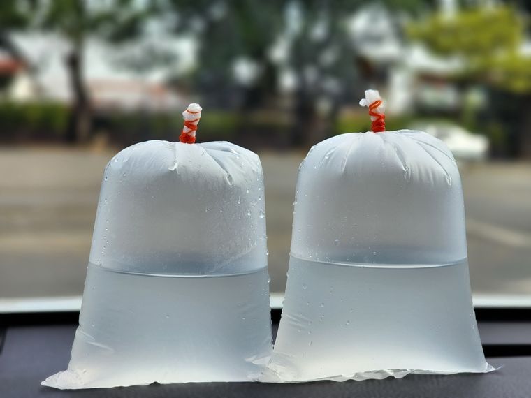 Las bolsas con agua generan reflejos que desorientan a las moscas en el jardín: un truco casero que se transmite de generación en generación.Foto: Shutterstock