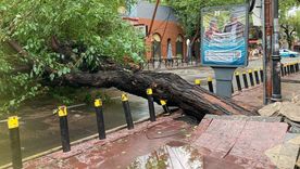 Equipos municipales trabajaron para restablecer la circulación y reducir riesgos en la vía pública. Equipos municipales trabajaron para restablecer la circulación y reducir riesgos en la vía pública.