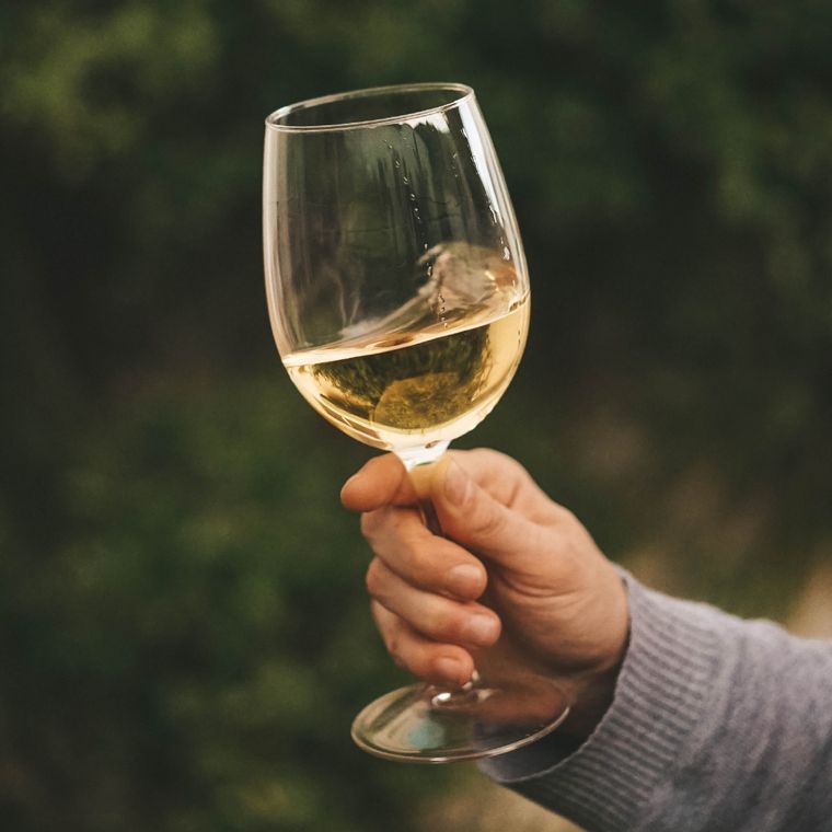 Chardonnay: un vino delicioso.