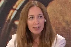 Vidal hizo su descargo tras las críticas recibidas por el apoyo público a Larreta Foto: Captura de pantalla