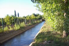 La beba cayó a un canal de riego y apareció sin vida a un kilómetro de su casa Foto: Archivo