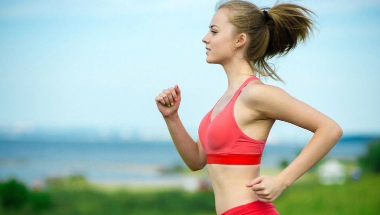 Estos perros superan la velocidad promedio de un humano. (Shutterstock) Estos perros superan la velocidad promedio de un humano. (Shutterstock)