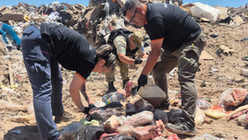 Policías y bromatólogos secuestraron y luego destruyeron la carne y otros productos en mal estado. Policías y bromatólogos secuestraron y luego destruyeron la carne y otros productos en mal estado.