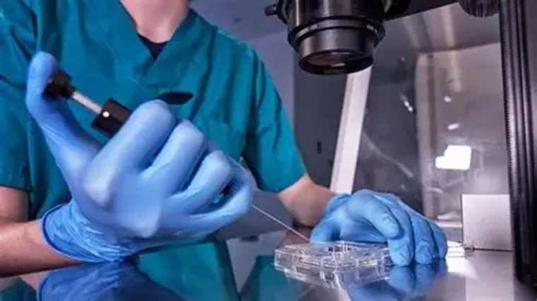 &nbsp;En 1992 logramos en nuestro país el primer nacimiento a partir de embriones criopreservados