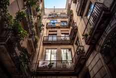 Jardín Elige estas plantas para tu balcón Foto: Pexels