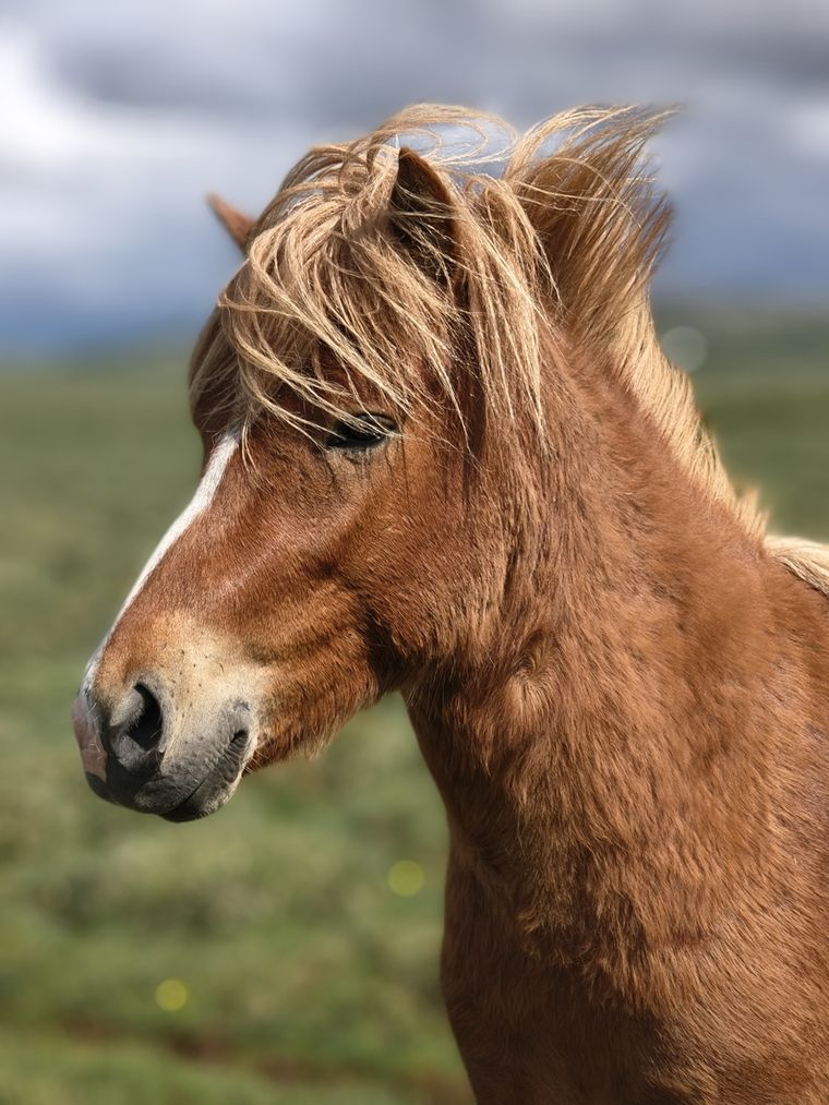 El Motorola edge 60 pro resistió lluvia, nieve y temperaturas bajo cero. El Motorola edge 60 pro resistió lluvia, nieve y temperaturas bajo cero.