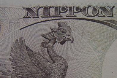 MDZol | 66579.jpg