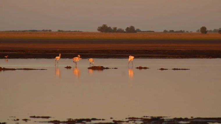 El pueblo ofrece una laguna única, propuestas culturales y un resort con casino para quienes buscan una escapada completa. El pueblo ofrece una laguna única, propuestas culturales y un resort con casino para quienes buscan una escapada completa.