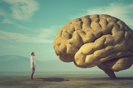 Con la inteligencia no sólo se nace sino que se hace.