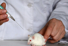 el tejido humano artificial podria reemplazar los experimentos con animales