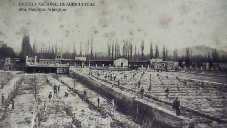 Quinta Agronomica