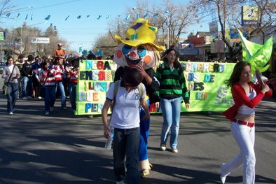 MDZol | Las escuelas desfilaron con sus banderas.