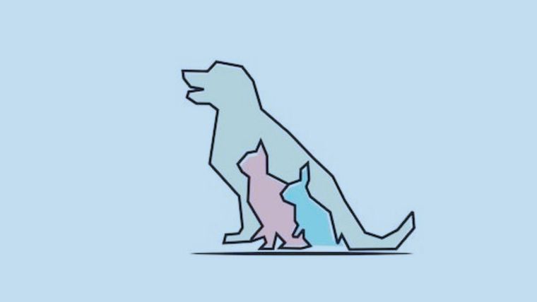 Test de personalidad