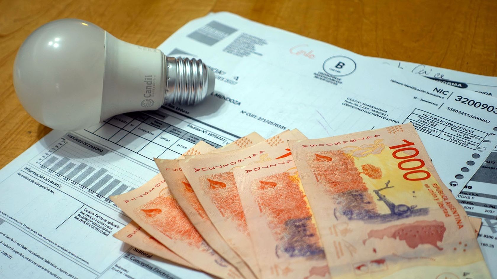 Los precios de las tarifas crecieron por arriba del promedio de la inflación Foto: Santiago Tagua/MDZ