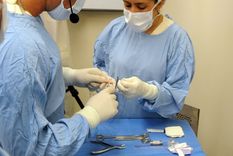 Foto: ALF PONCE / MDZ