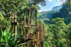 todos los secretos del jardin surrealista mexicano, ¡sorprendente!