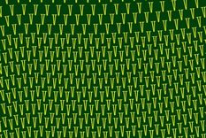 Acertijo visual Acertijo visual, Reto visual, Letra Foto: MDZ Online