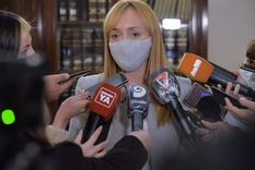 sagasti le llevo a suarez un proyecto mendocino para enfrentar la pandemia