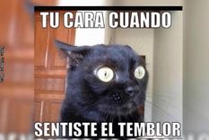 temblo y los mendocinos desvelados afilaron su humor en las redes