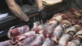 Los jubilados pueden acceder a descuentos en supermercados pagando con la tarjeta de débito donde cobran sus haberes. Los jubilados pueden acceder a descuentos en supermercados pagando con la tarjeta de débito donde cobran sus haberes.