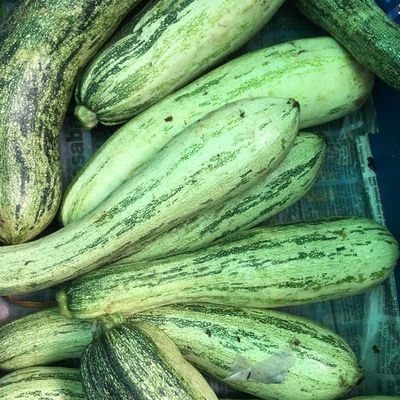 1 zucchini pequeño en cubos